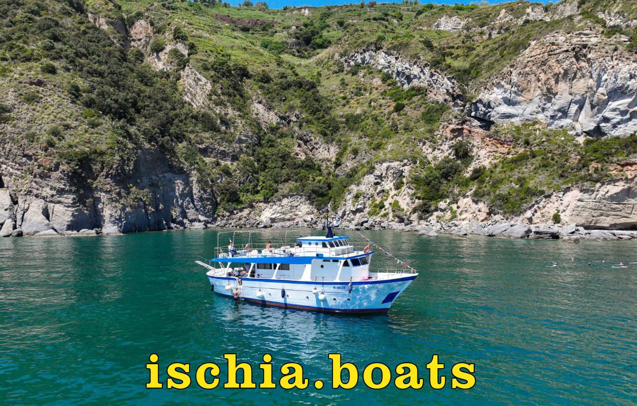 Gita in barca ischia